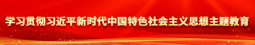 操小骚逼神片学习贯彻习近平新时代中国特色社会主义思想主题教育